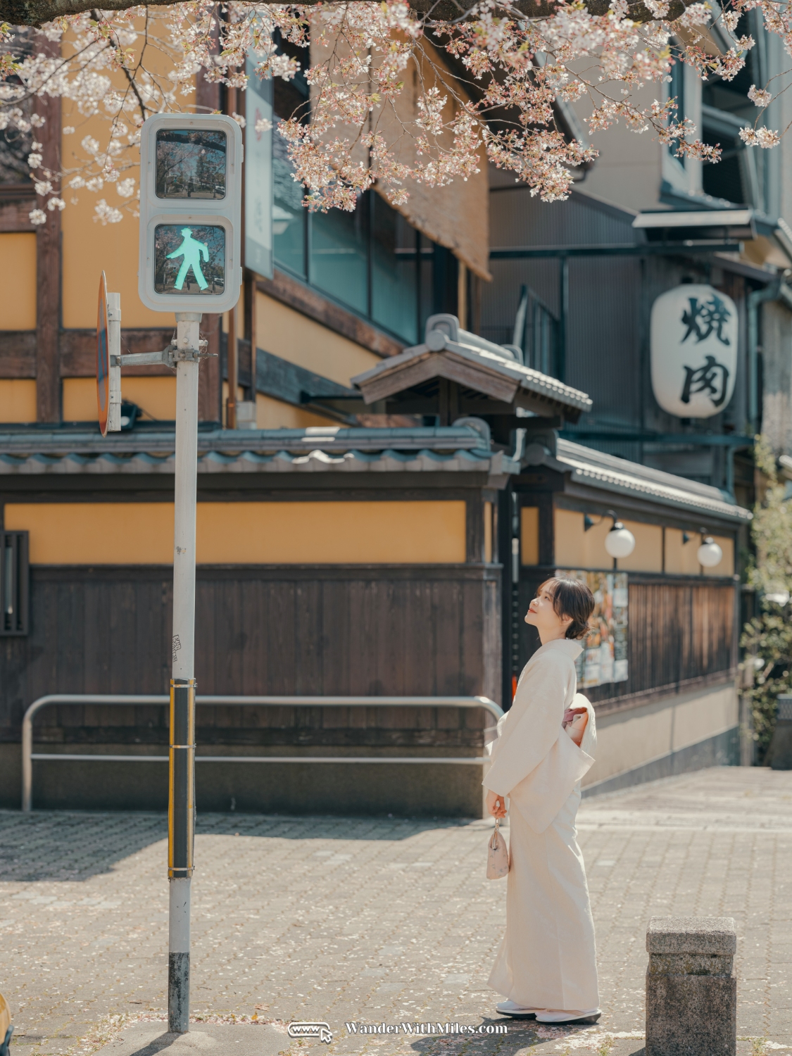 All spots to take kimono photo in kyotodscf7284