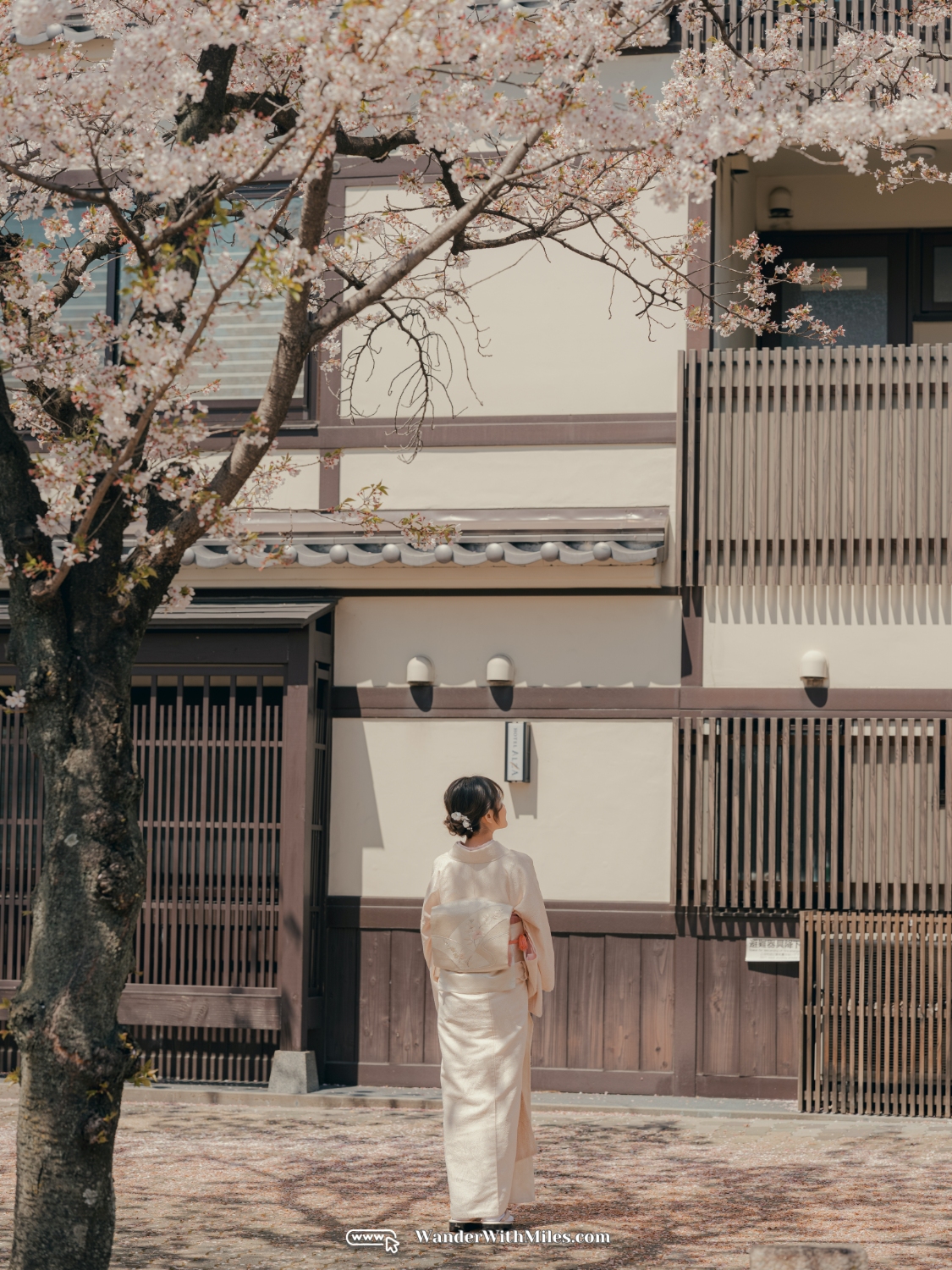 All spots to take kimono photo in kyotodscf7292