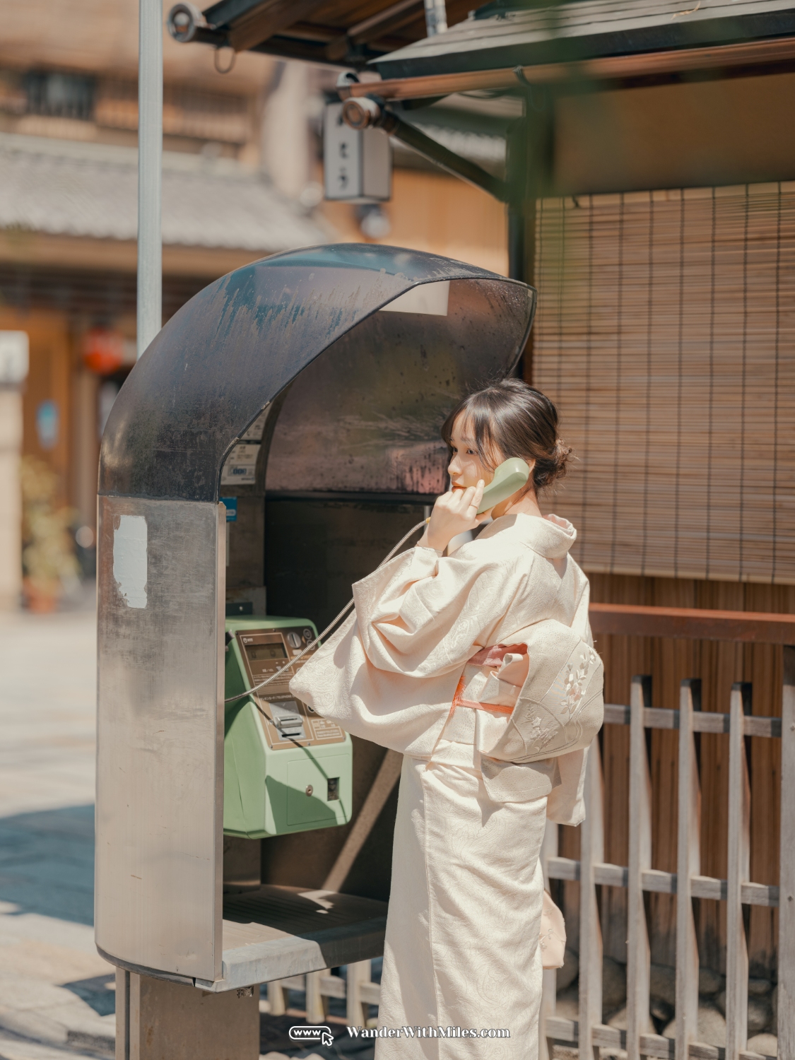 All spots to take kimono photo in kyotodscf7322