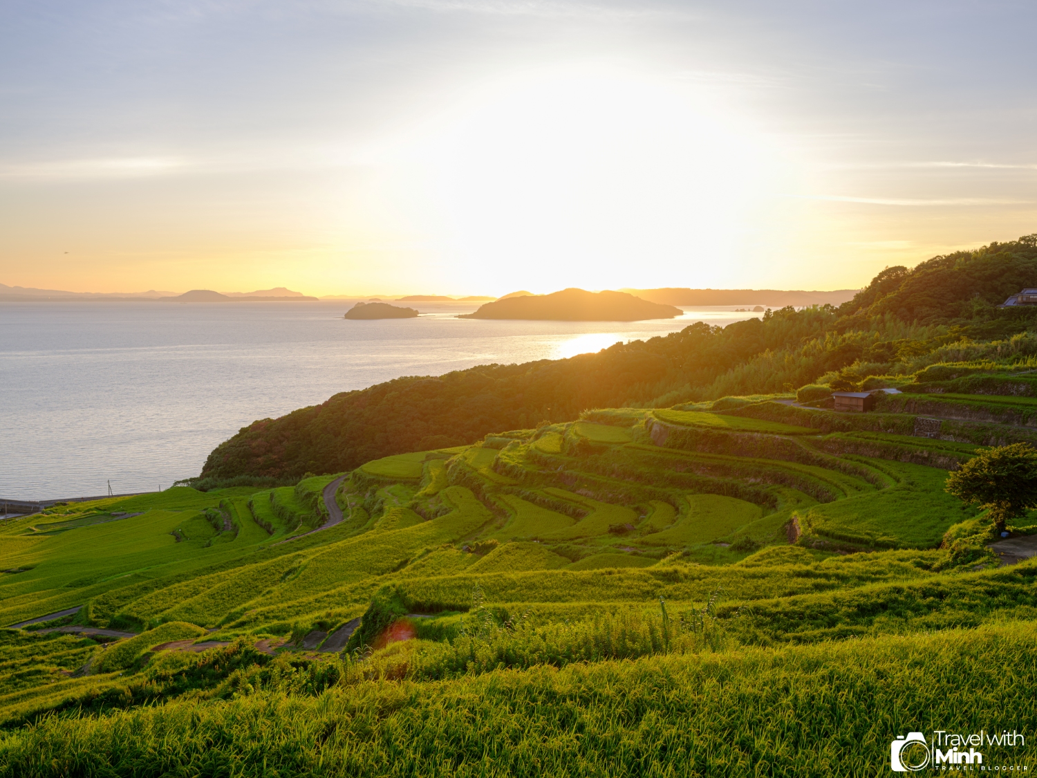 Doya rice terraces fukuoka (1)