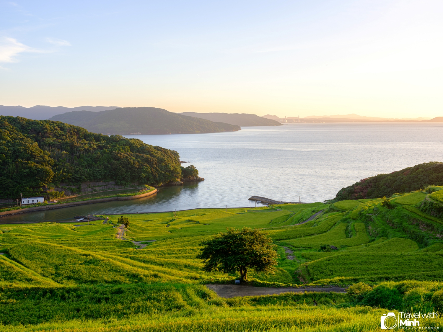 Doya rice terraces fukuoka (3)