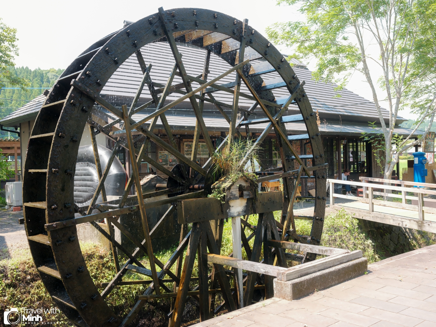 Harariji fall oita (16)