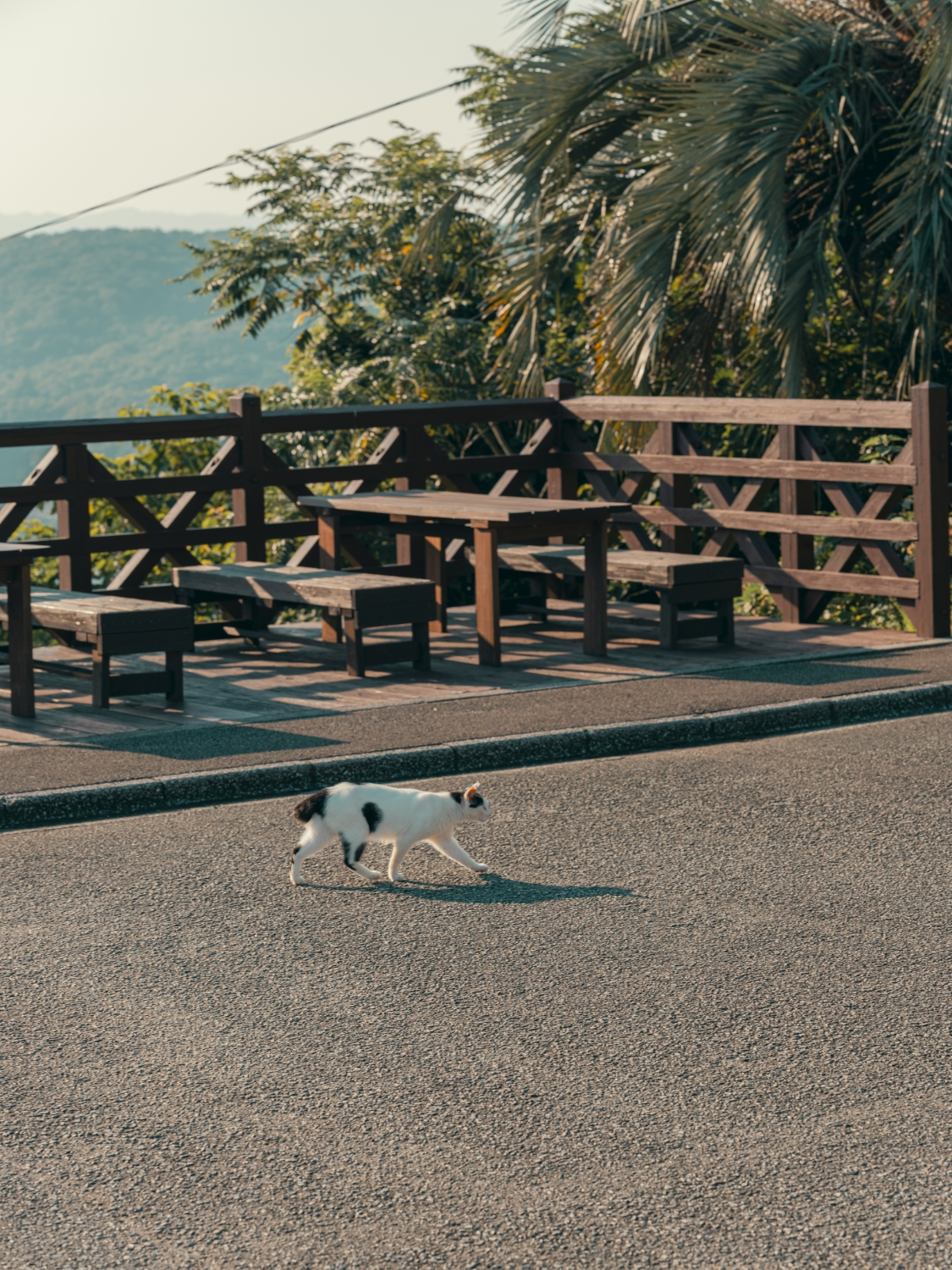 Kyushu japan itinerary (13)