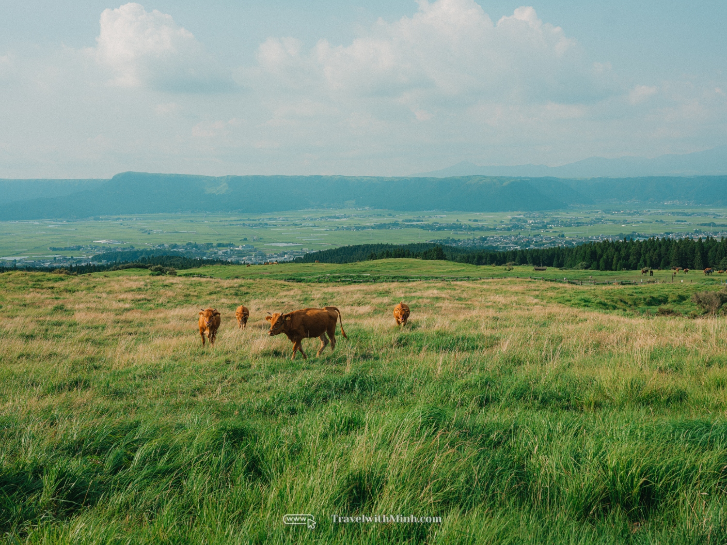 Kyushu japan itinerary (56)